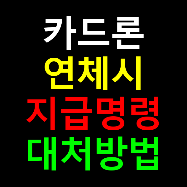 카드론 연체시 지급명령