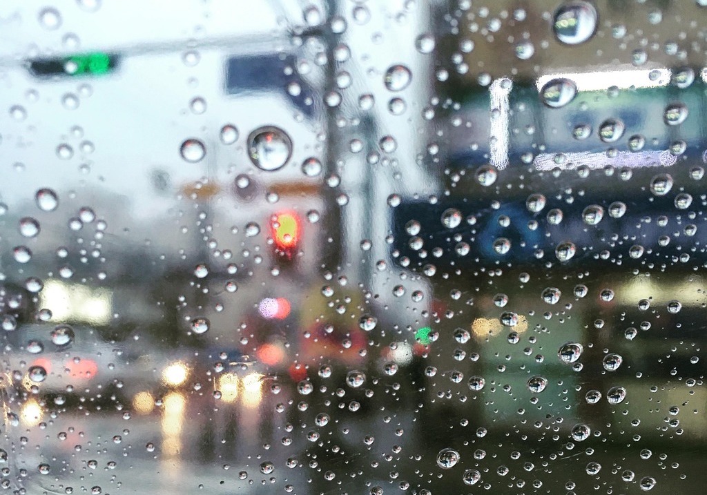 환절기 관련된 사진