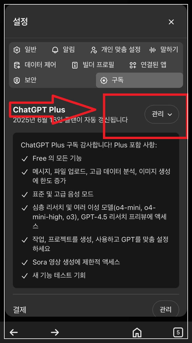챗GPT 구독취소