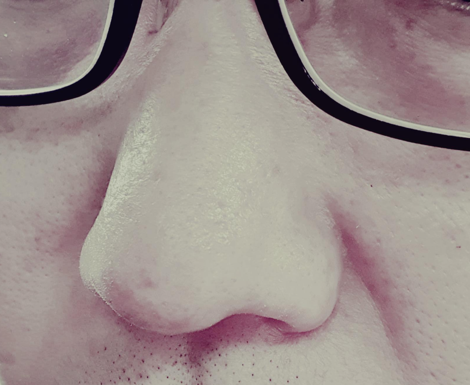 옆에서-본-콧등