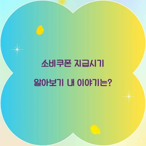 소비쿠폰 지급시기
