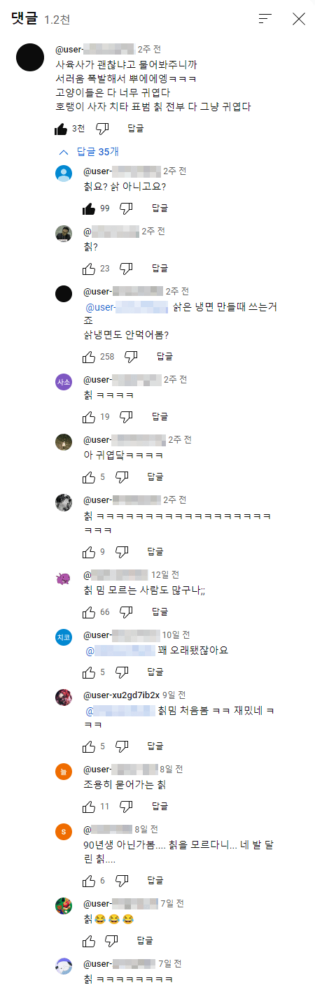 유튜브 댓글