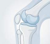 무릎 연골 손상 증상