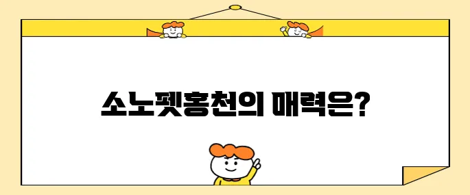 애견과 함께하는 국내 여행 강원도 소노펫홍천에서 강아지 호텔의 매력을 만나보세요!