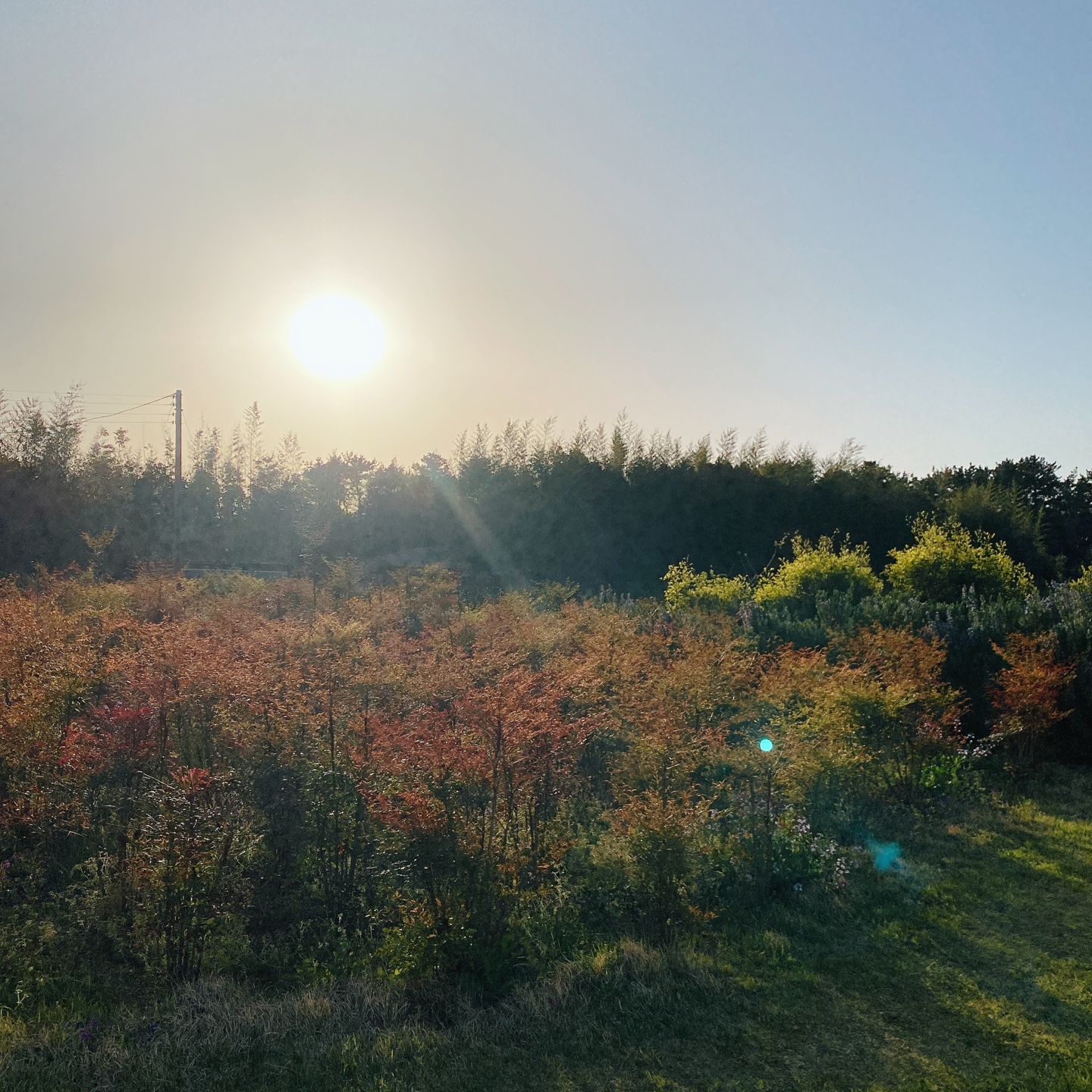 제주 성산 성읍민속마을 에그타르트 포르투갈 카페 아줄레주