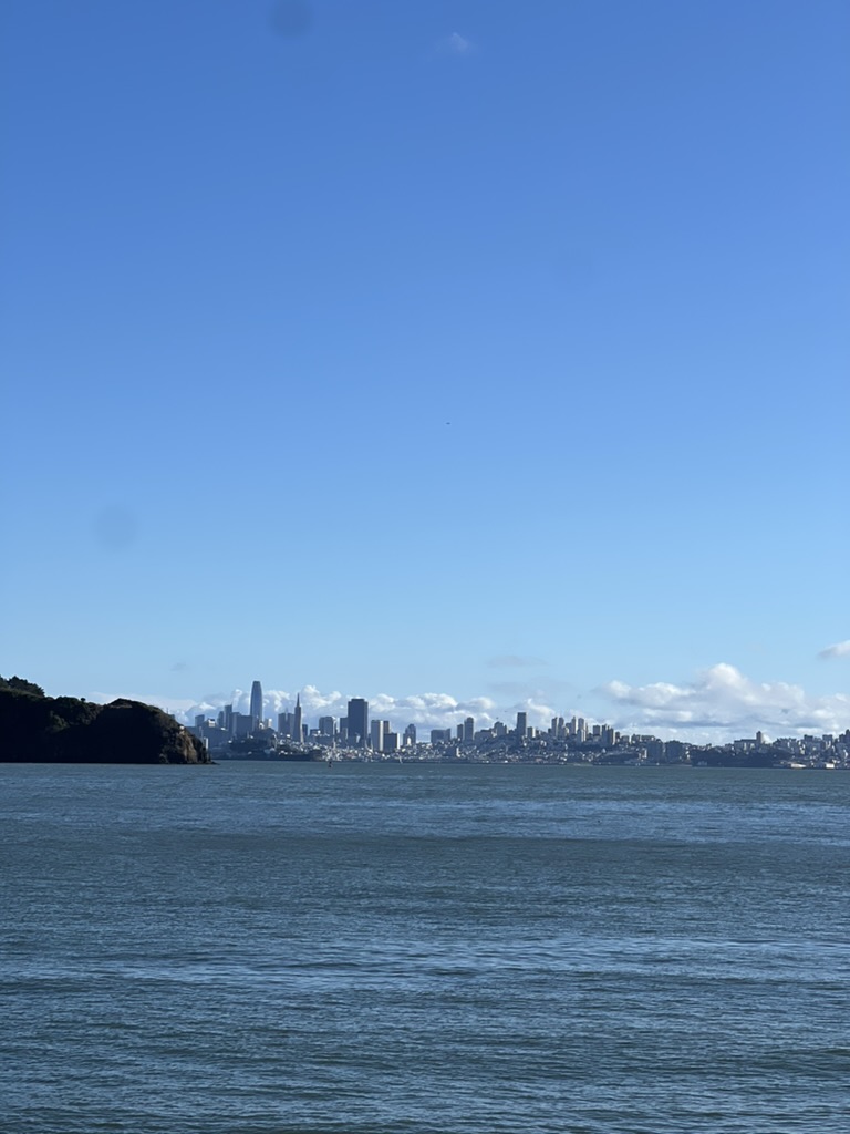 Shoreline Park 도시뷰