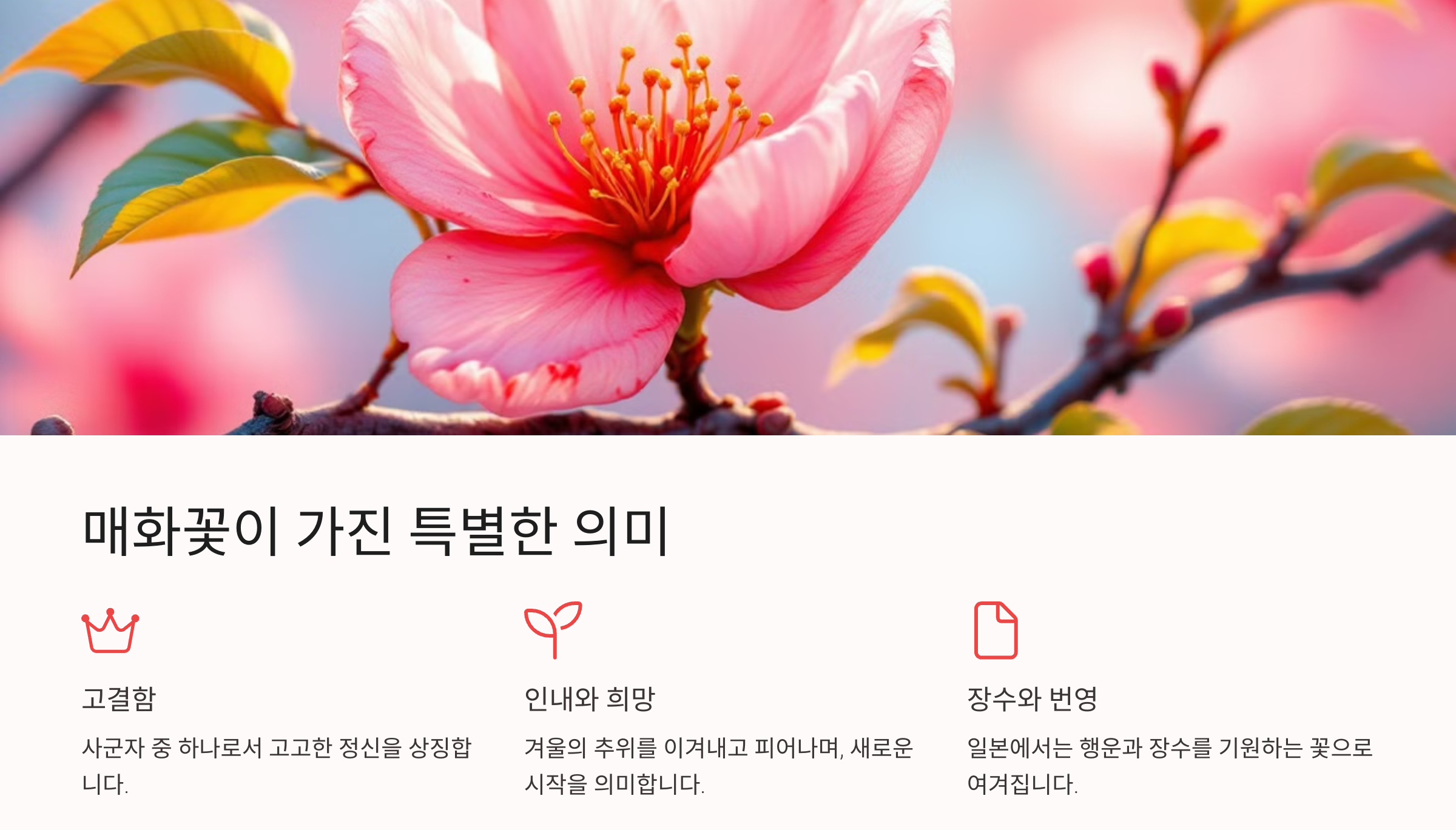 매화꽃 사진