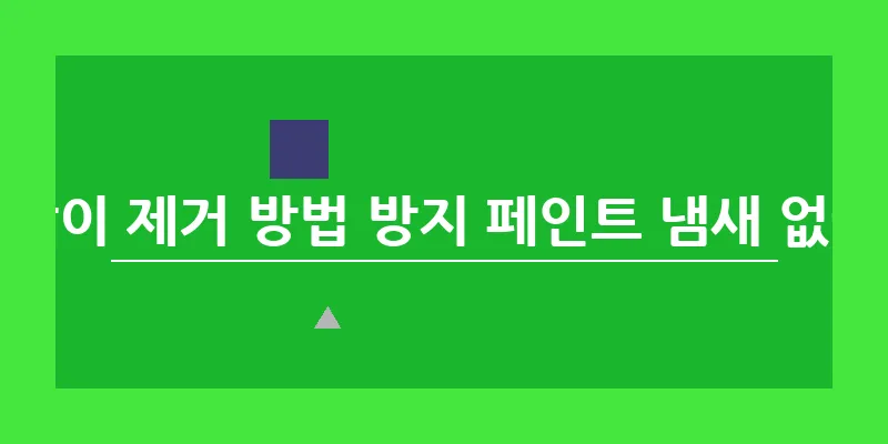곰팡이 제거 방법 방지 페인트 냄새 없애기_16