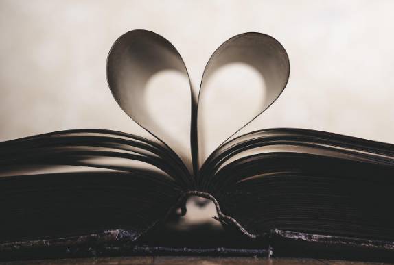 문화비 소득공제 누리집, 홈페이지