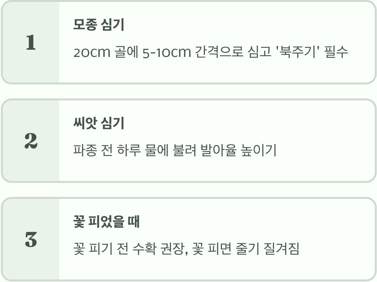 대파 심는시기&amp;#44; 4월? 8월? 최적의 날짜는?