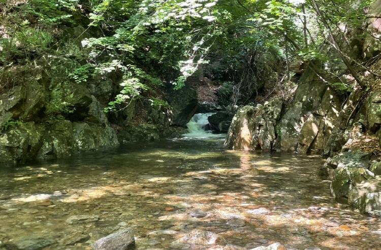 평창 가볼만한곳