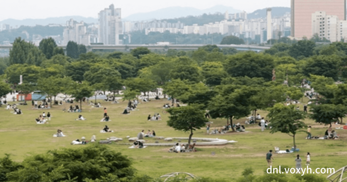 반포한강공원의 야외 피크닉