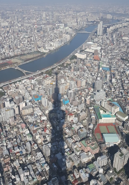 전망 사진