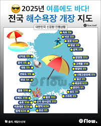 🌊 [2025 여름 바다] 총정리 