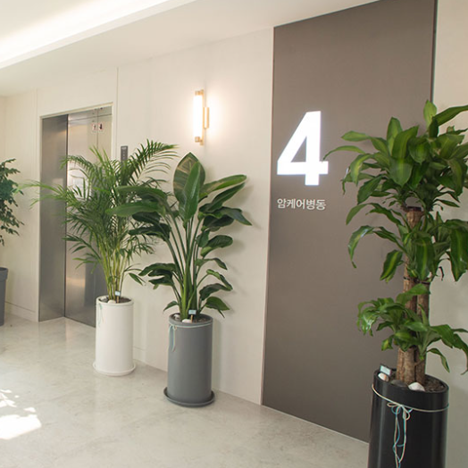 가평 암 요양병원 HJ매그놀리아국제요양병원