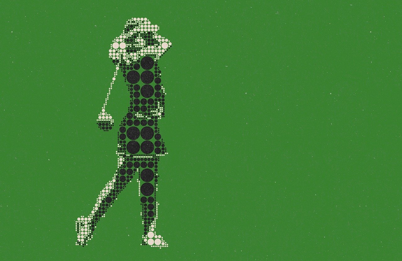 국내투어 vs LPGA 한국대회 선수