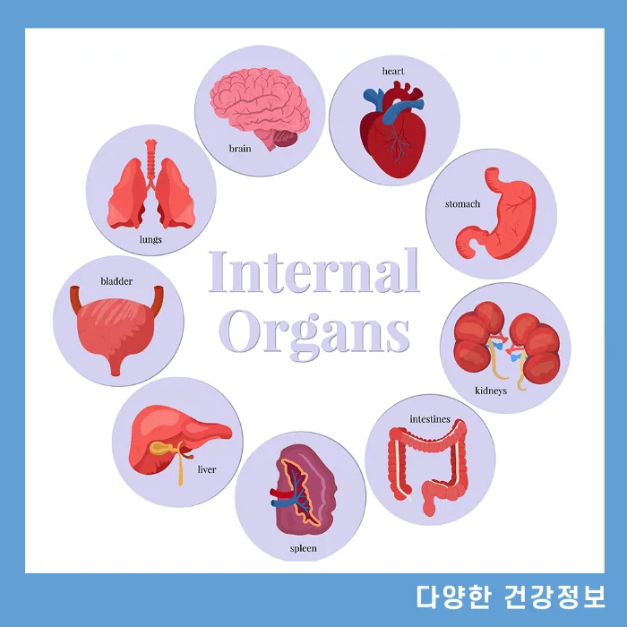 장기기증