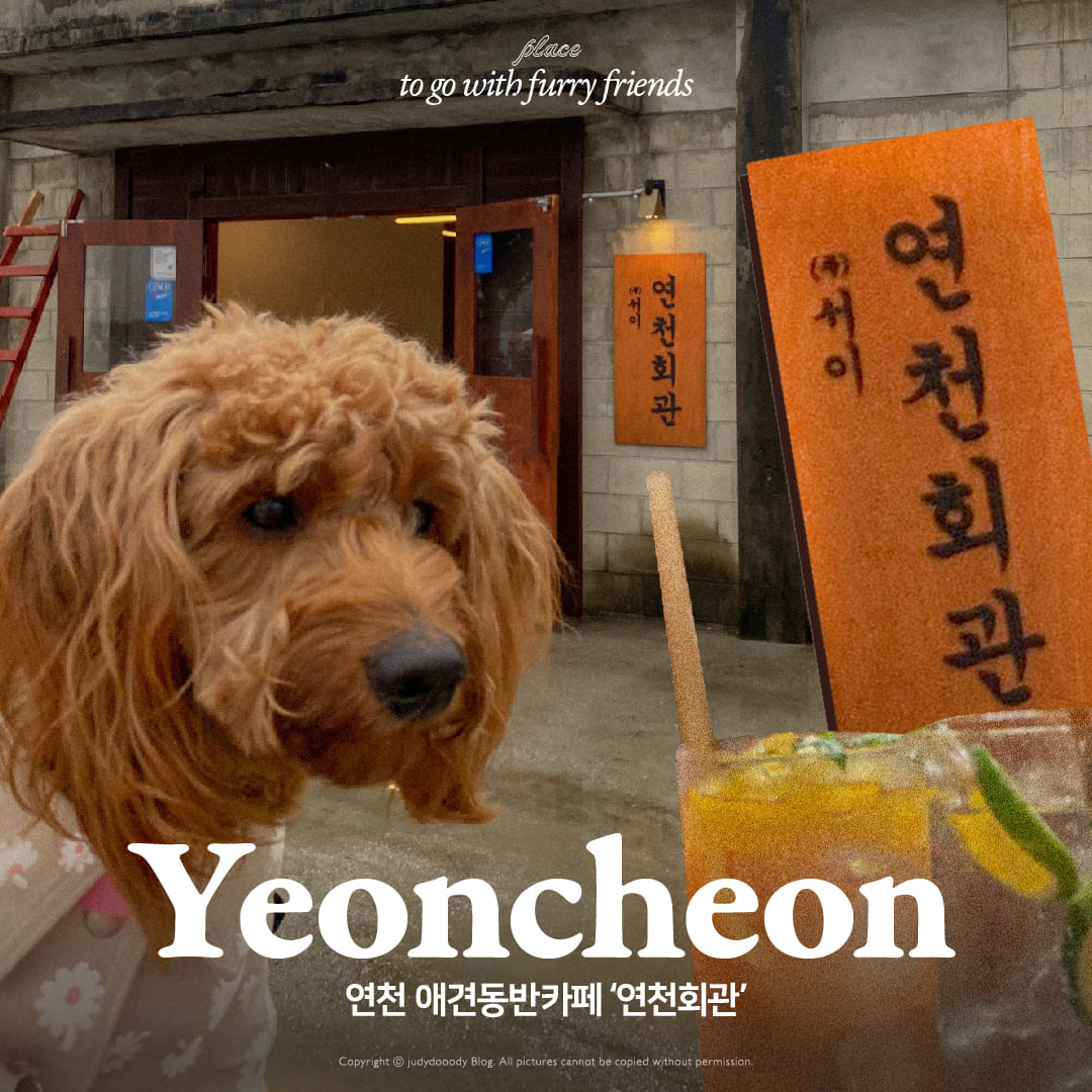 애견동반 카페 썸네일