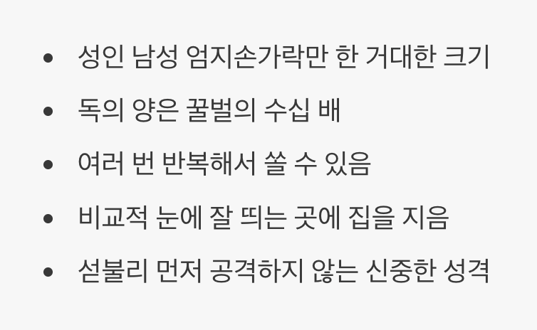 2. 하늘의 무법자, 장수말벌