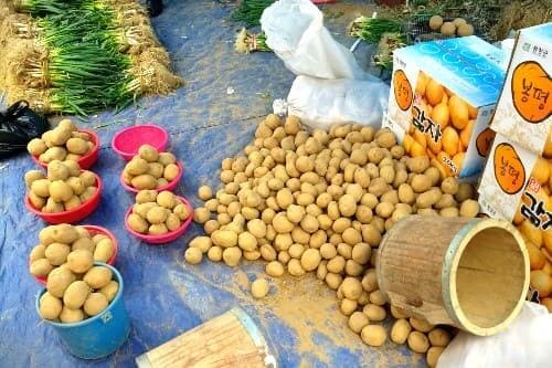 여주5일장-씨감자-구매