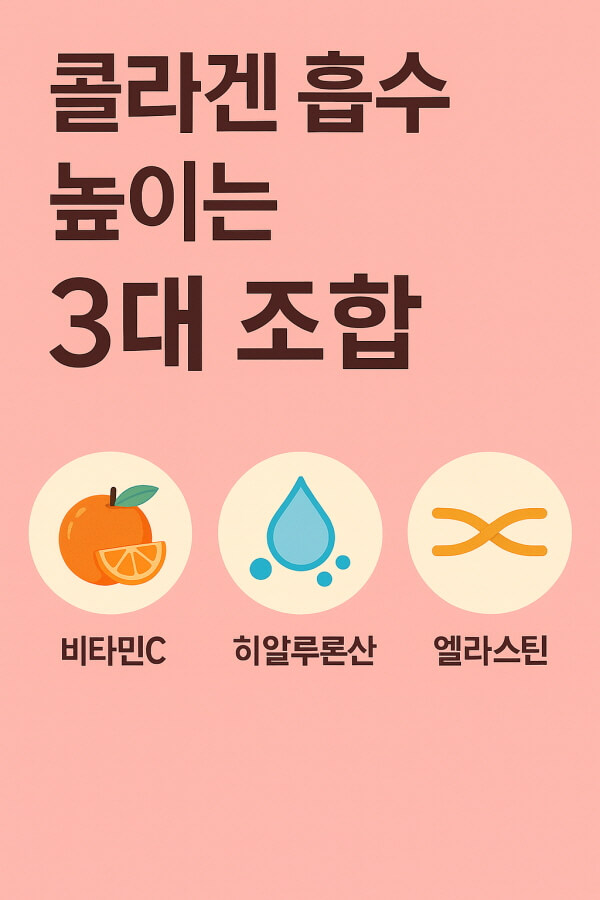 콜라겐 흡수 높이는 조합/gpt