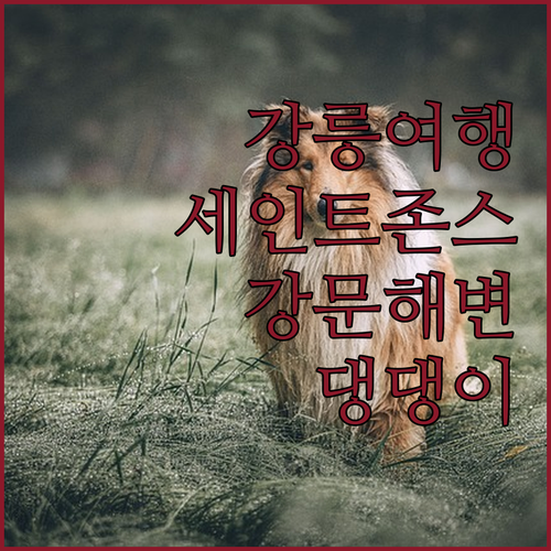 강릉 세인트존스 호텔 숙박 후기! 강