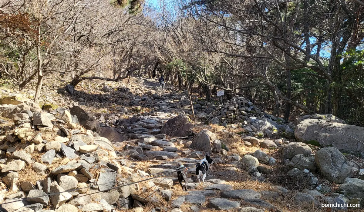 부산 해운대 장산 성불사 산책로 돌계단 사진