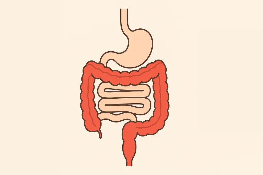 대장암 증상