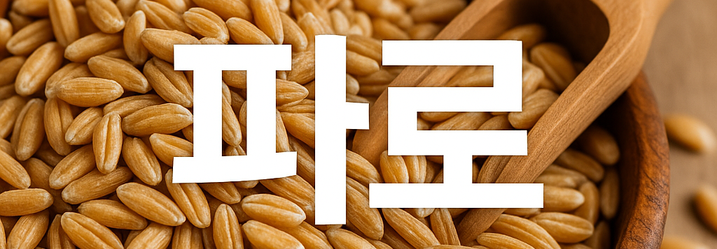 파로 곡물로 곡물