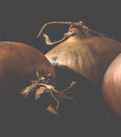 양파 효능 사진41