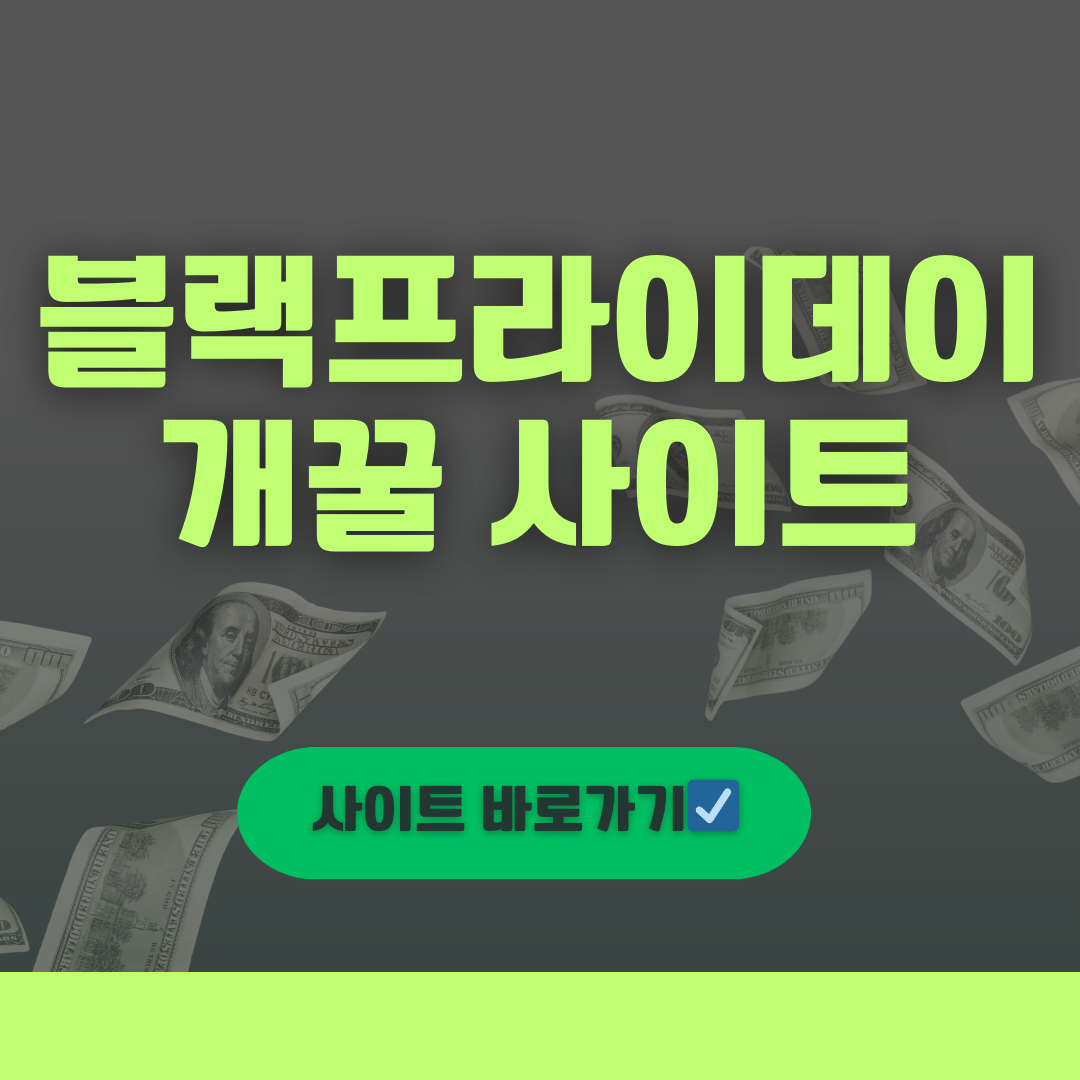 2023 블랙프라이데이 기간