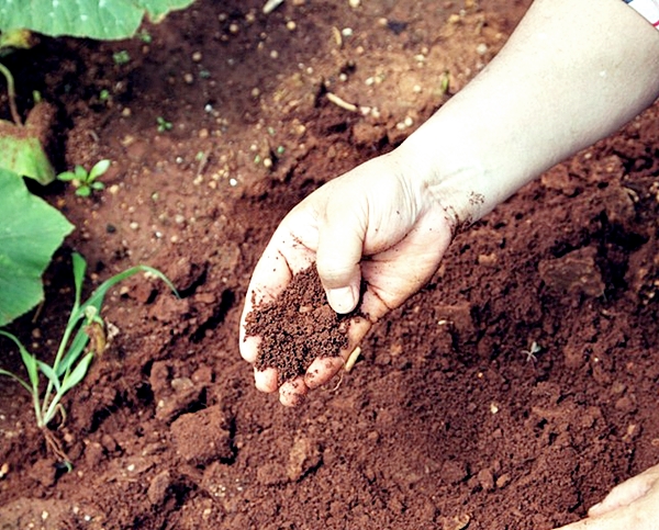 린클 처리 음식물을 퇴비로 활용하는 모습