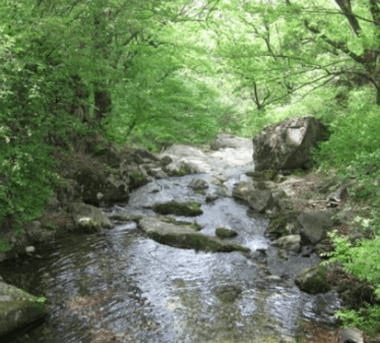 공주-갑사계곡