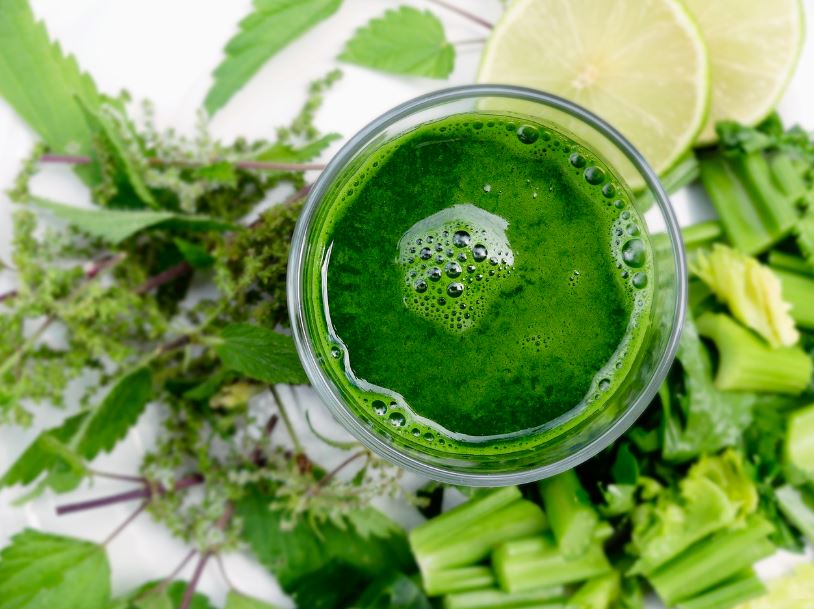 보스웰리아 효능 부작용 먹는방법