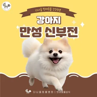 노령견 신부전2기 자연식 화식 레시피 건강식_6