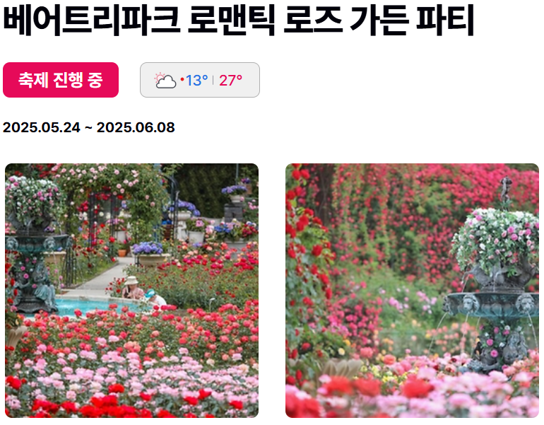 세종축제 베어트리파크 로맨틱 로즈 가든 파티