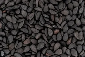 탈모에-좋은-음식