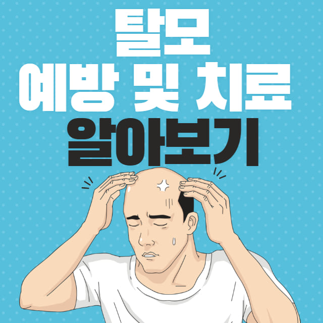 탈모 예방 및 치료