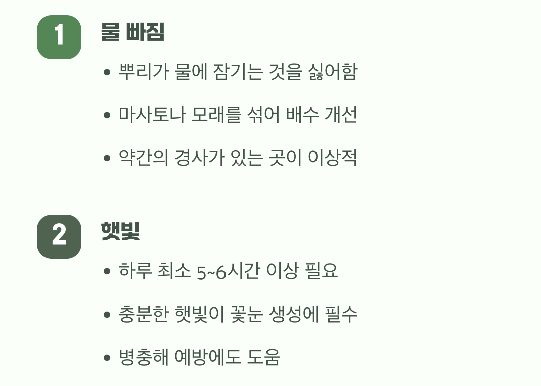 고향 집을 만들어주세요 (흙과 햇빛)