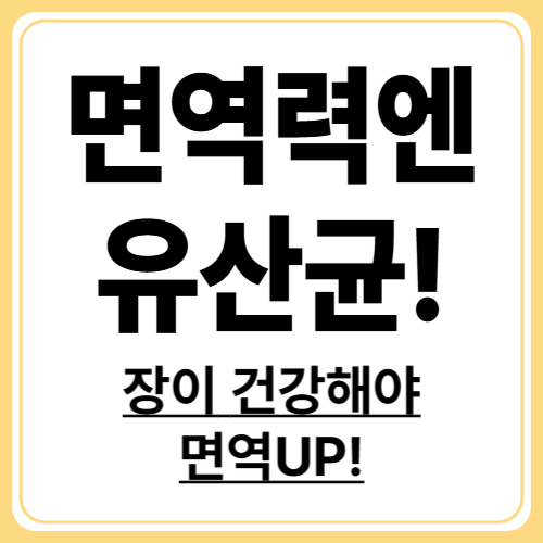 유산균과 면역력 관계! 장 건강이 핵심이다.