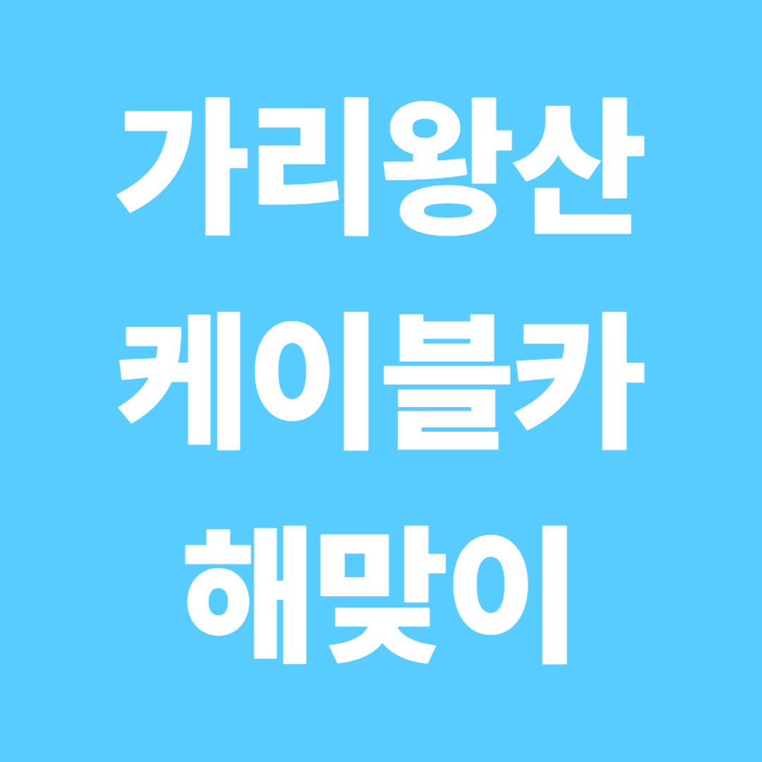 가리왕산 케이블카 해맞이 축제