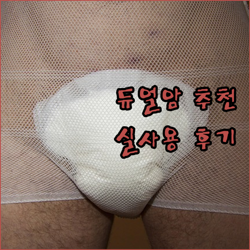 듀얼 모니터암 추천 엔산마운트 NEO..