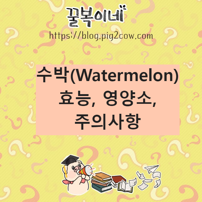생활정보