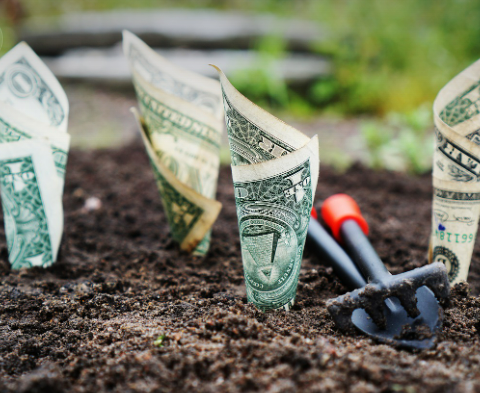 부동산전세사기 예방