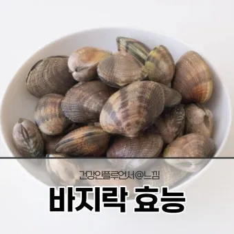 바지락 효능 보관방법 씻는법 해감시키는법_16