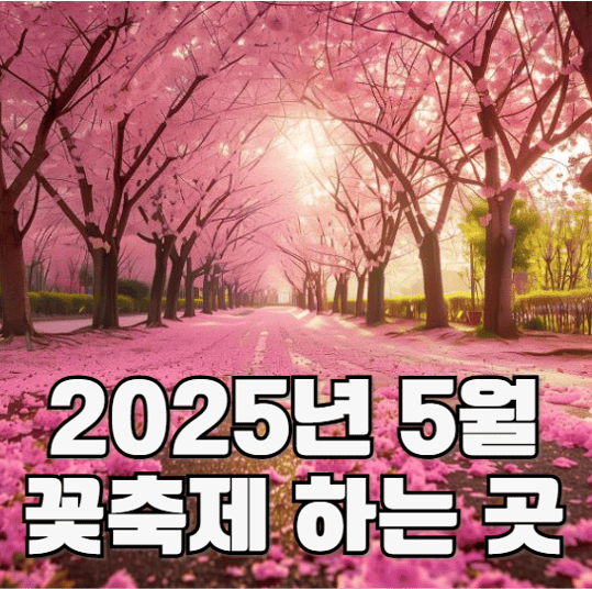 2025년 5월 꽃축제하는 곳