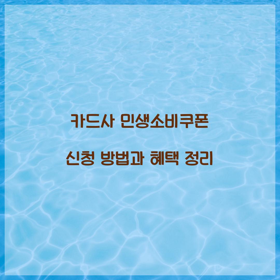 카드사 민생소비쿠폰