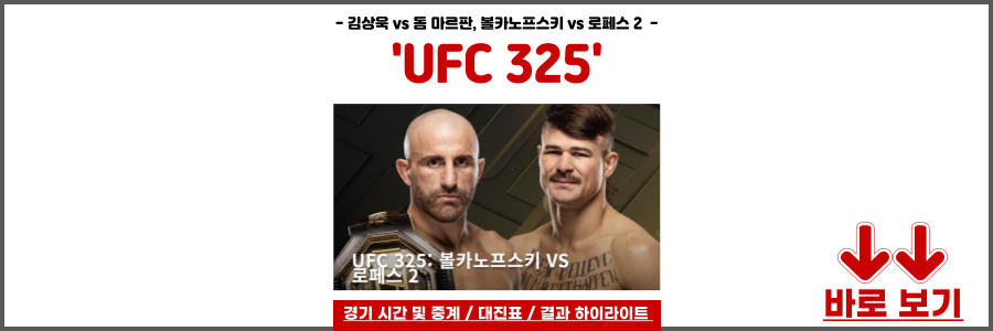 UFC 325