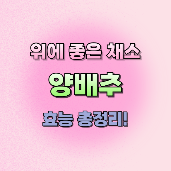 양배추효능