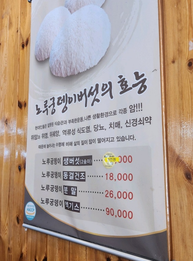 노루궁뎅이버섯-효능